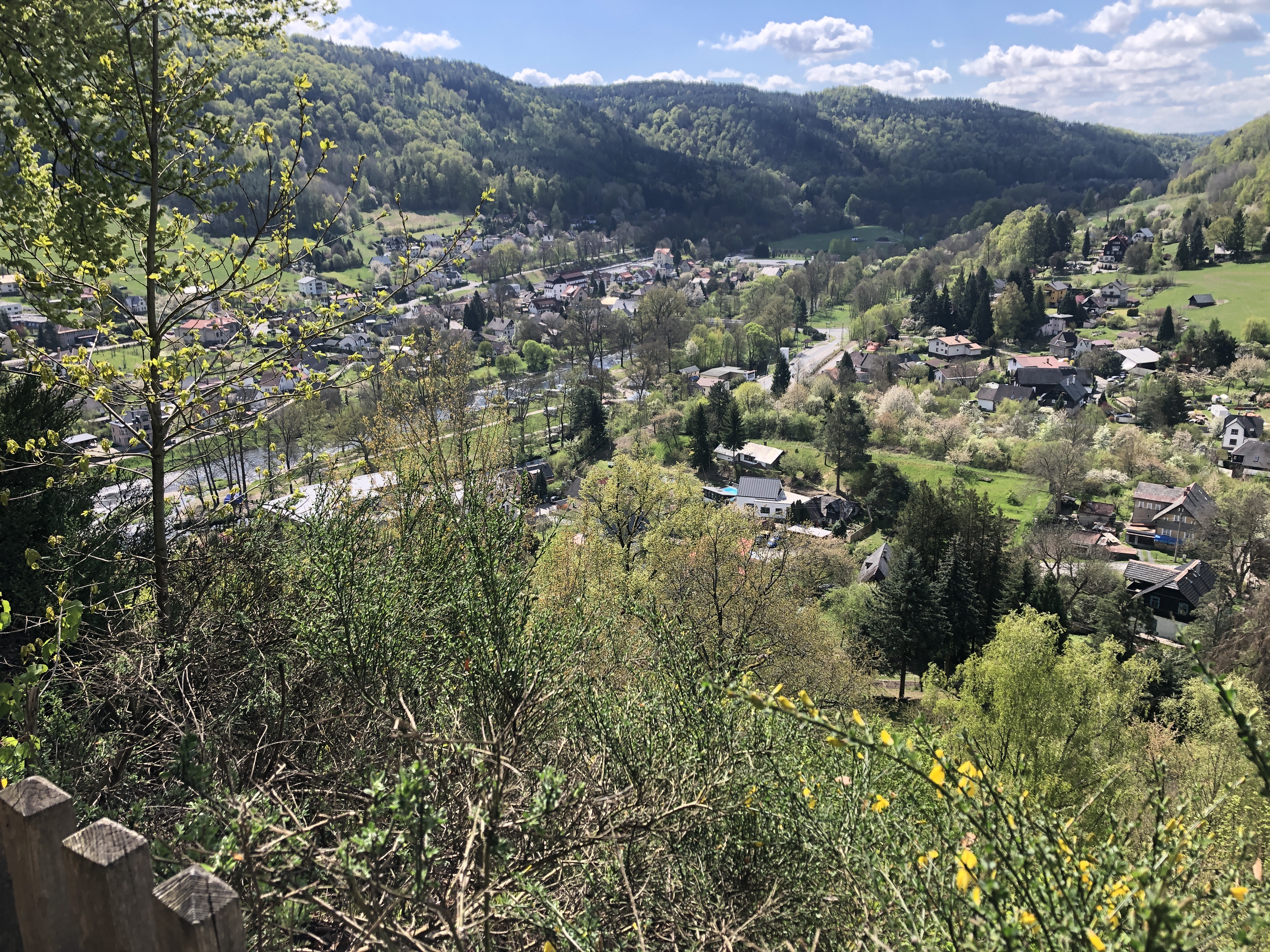 IMG_5533.jpeg